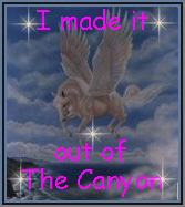 Soaring Pegasus Canyon Winner