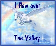 Soaring Pegasus Valley Winner